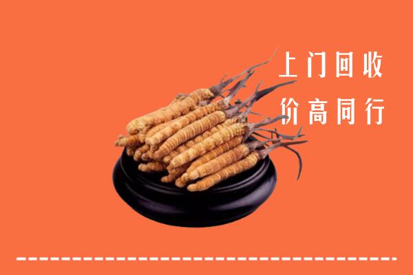 濮阳回收散虫草