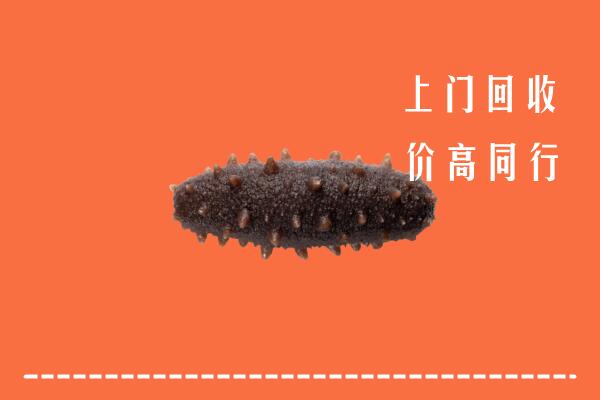 濮阳高价回收海参